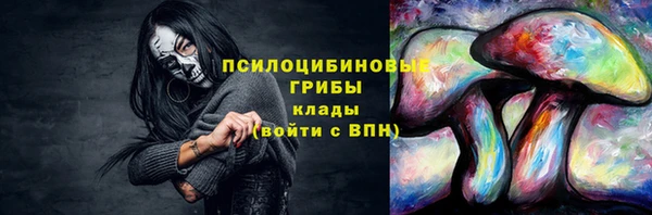 бошки Медвежьегорск