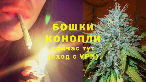 мет Мегион