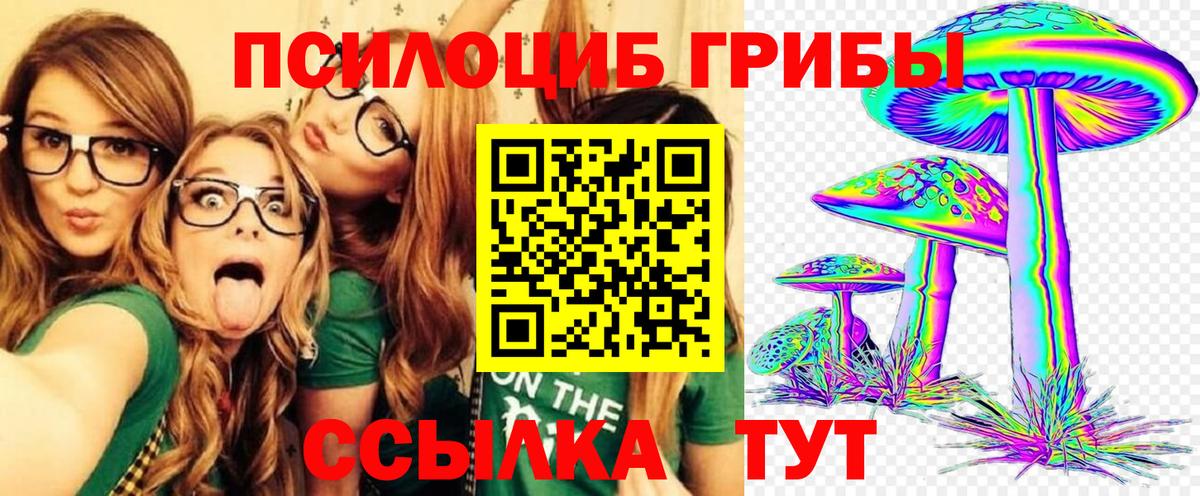 Чернушка  Галлюциногенные грибы GOLDEN TEACHER  Вход с VPN 
