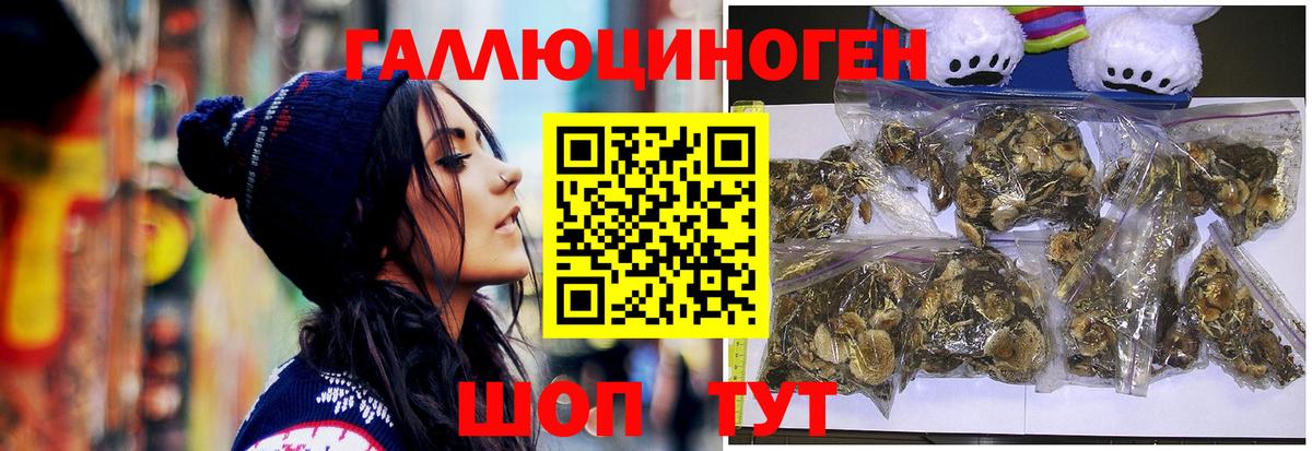 Псилоцибиновые грибы Magic Shrooms  Чернушка  Псилоцибиновые грибы GOLDEN TEACHER 