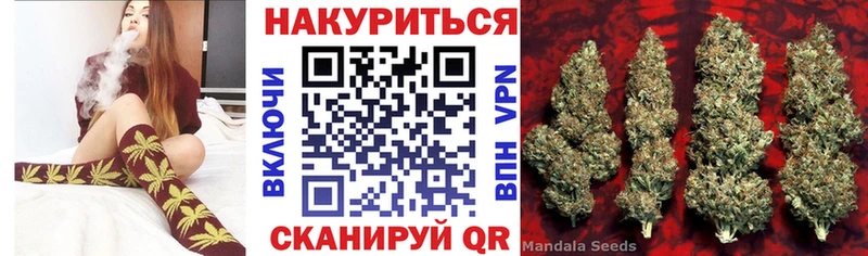 купить   Чернушка  Конопля тримм 