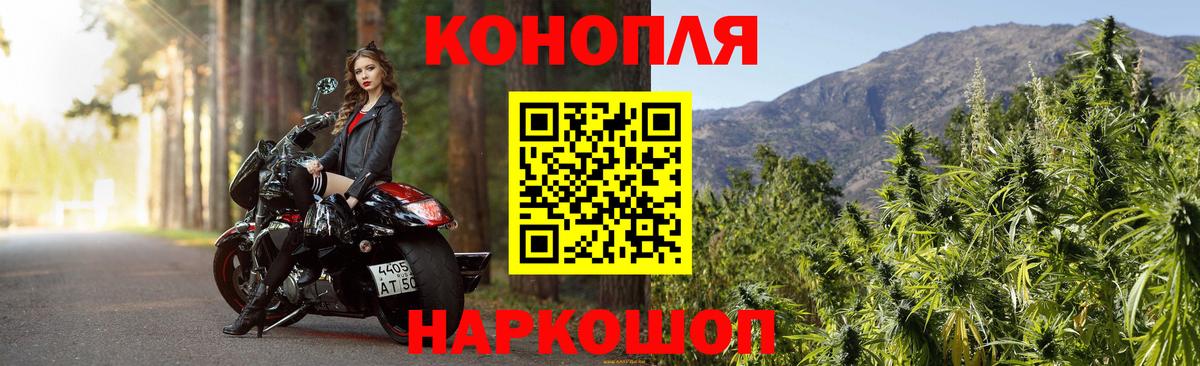 Марихуана Amnesia  Чернушка  Канабис White Widow 