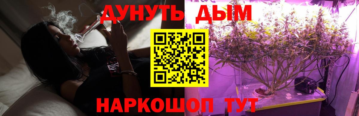 Конопля план  Шишки марихуана AK-47  Вход с VPN  Канабис MAZAR  Чернушка  Марихуана семена 